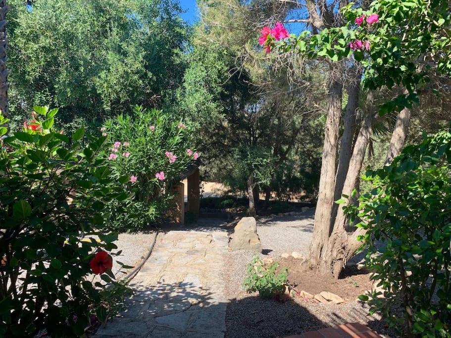 Villa Margiu Villasimius Exterior foto